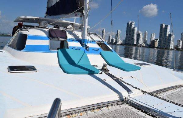 Wildcat 36 pies - Imagen 2
