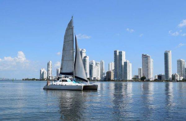 Wildcat 36 pies - Imagen 4