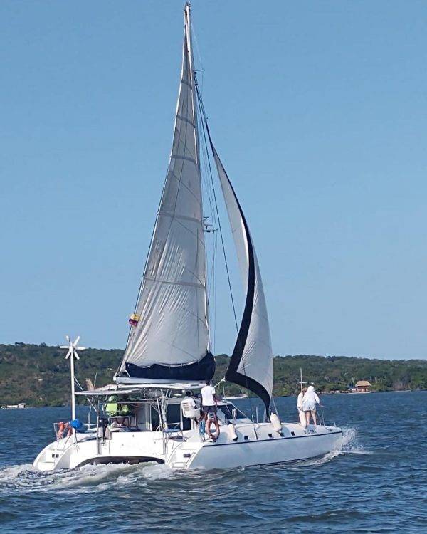 Wildcat 36 pies