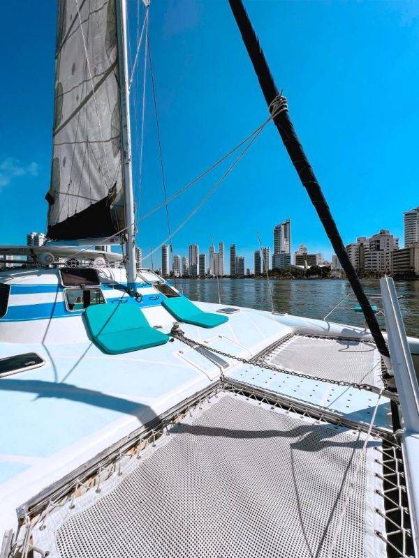 Wildcat 36 pies - Imagen 8