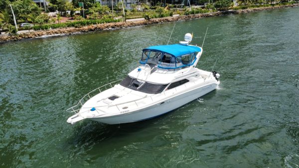 Sea Ray 45