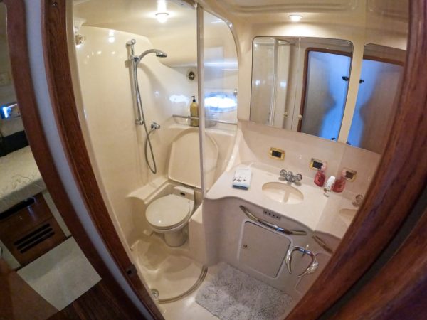 Sea Ray 45 - Imagen 14