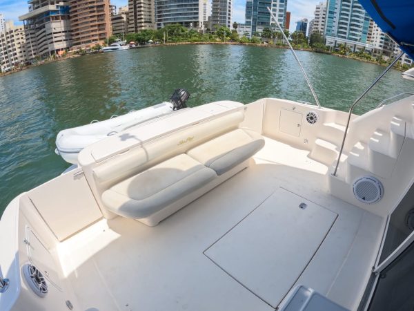 Sea Ray 45 - Imagen 15